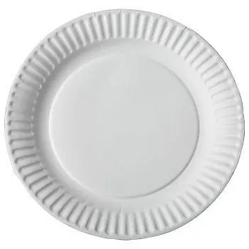 ASPEN Disposable Dinner Plates – 9″ White Uncoated Paper, 100 Count per Pack (12 Packs)