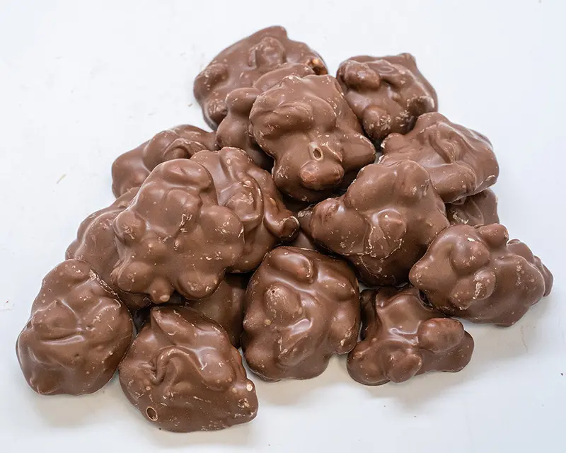Assorted Chocolate Clusters (Nuts or Raisins) – 8 oz