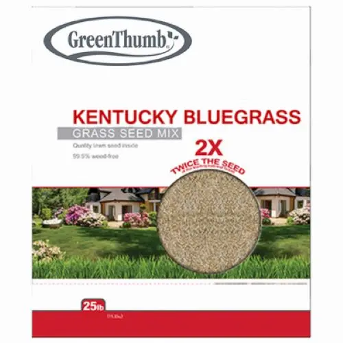 Barenbrug GTKBG25 Premium Bluegrass Seed Mix – 25-Pound Bag (Qty 3)