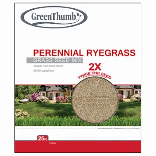 Barenbrug GTPRG25 Perennial Ryegrass Seed – 25 lb Bag (Each)