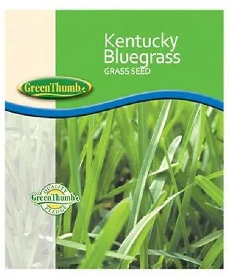 Barenbrug Kentucky Bluegrass Seed – 50 lb Bulk Bag (85/80 Blend)