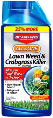 BioAdvanced All-in-1 Lawn Weed & Crabgrass Killer Concentrate (32 oz) – Pack of 4