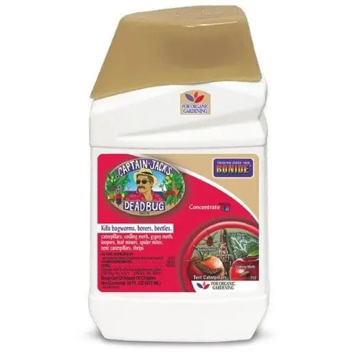 Bonide Captain Jack’s Dead Bug Brew – Organic Insecticide Concentrate, 16 oz