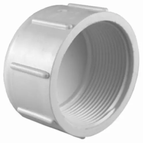 Charlotte Pipe 02117 Schedule 40 PVC 1-Inch Threaded Cap – White, Pack of 100