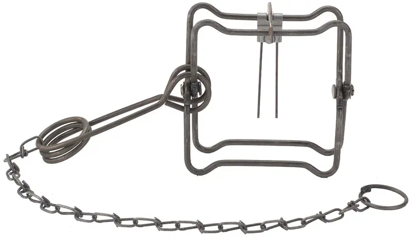 Duke Muskrat Trap – 4.5″ Jaw Spread, Field-Tested, Pack of 4