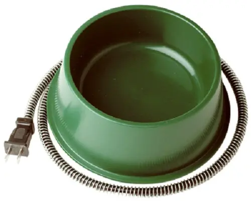 Farm Innovators QT-1 Heated 1-Quart Green Pet Bowl – Pack of 6