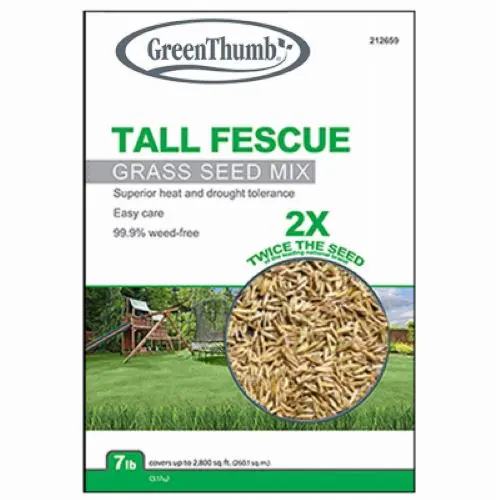 Green Thumb GTTF7 Tall Fescue Grass Seed Mix – 7 LB Bag (1 Bag)