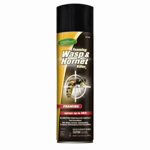 Green Thumb HG-187976 Foaming Wasp & Hornet Killer Spray – 17.5 oz Can (Pack of 4)