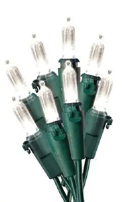 Holiday Wonderland 100-Bulb Warm White LED Mini Lights — Festive String Lights (Pack of 3)