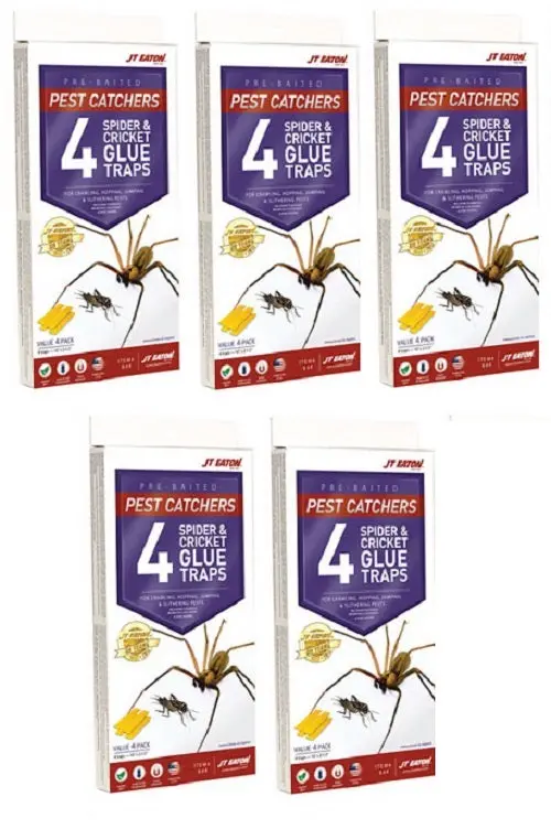 JT Eaton 844 Spider & Cricket Glue Traps – 4-Pack (5 Units per Order)