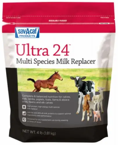 Milk Products Sav-A-Caf Ultra 24 Milk Replacer – 8 LB Multi-Species Formula