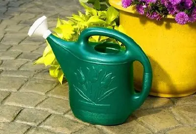 Novelty Mfg 30301 2-Gallon (8L) Green Plastic Watering Can – 2-Pack