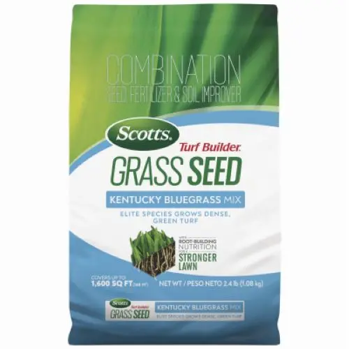 Scotts Kentucky Bluegrass Seed – 2.4 LB Turf Builder Bag