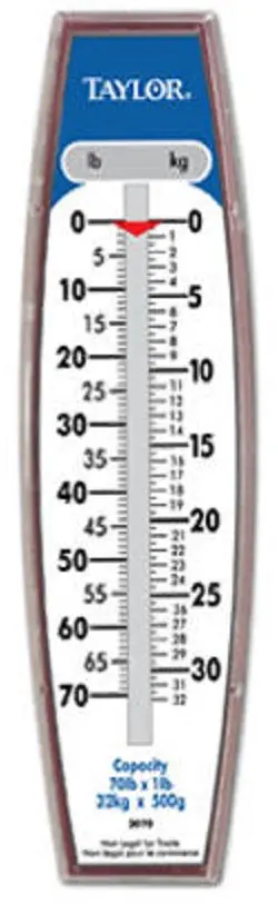 Taylor 30704104 Heavy-Duty Hanging Scale – 70 lb Capacity