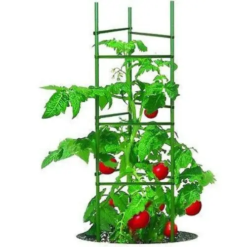 Ultomato TMC60 Heavy-Duty Tomato Cage & Stake Kit – Set of 6
